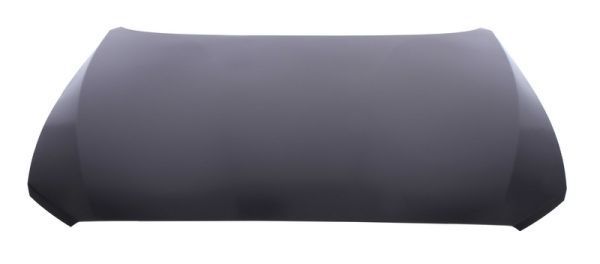 İthal Motor Kaputu F20 (4100 7 290 942)