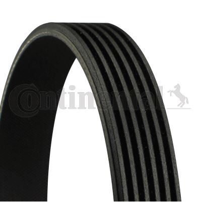 GATES KANALLI KAYIŞ OPEL VECTRA C SIGNUM 1.9CDTI 8V 16V 03-08 FORD RENAULT 19 1.8 16V 89-97 PORSCHE R (55200253)