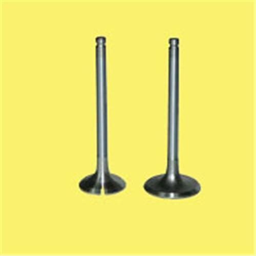 GUNES EMME EGZOZ SUBAP TAKIM POLO-GOLF4-5-JETTA-PASSAT-TIGUAN AHW-BBY-BKY-BAG-BLF-BLP-BMY-BCB-CAVA-CAXA (036109601S)