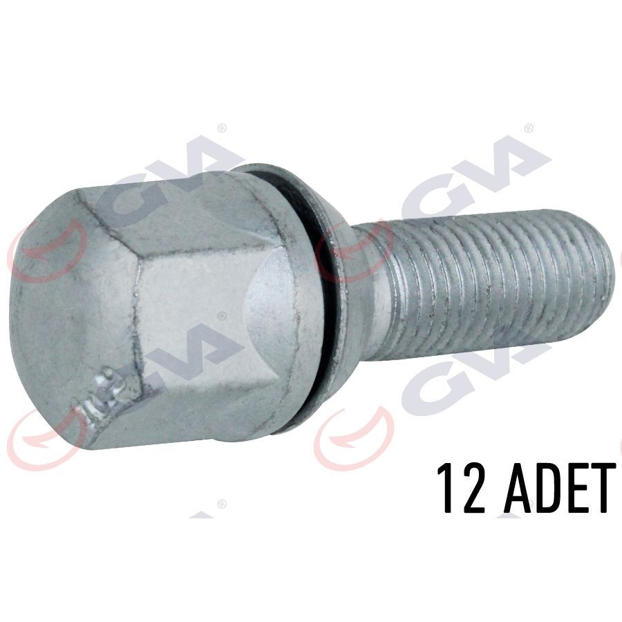 GVA BİJON CİVATASI RENAULT 9-11 PULLU-GEOMET PAKET 12 (8200058101)