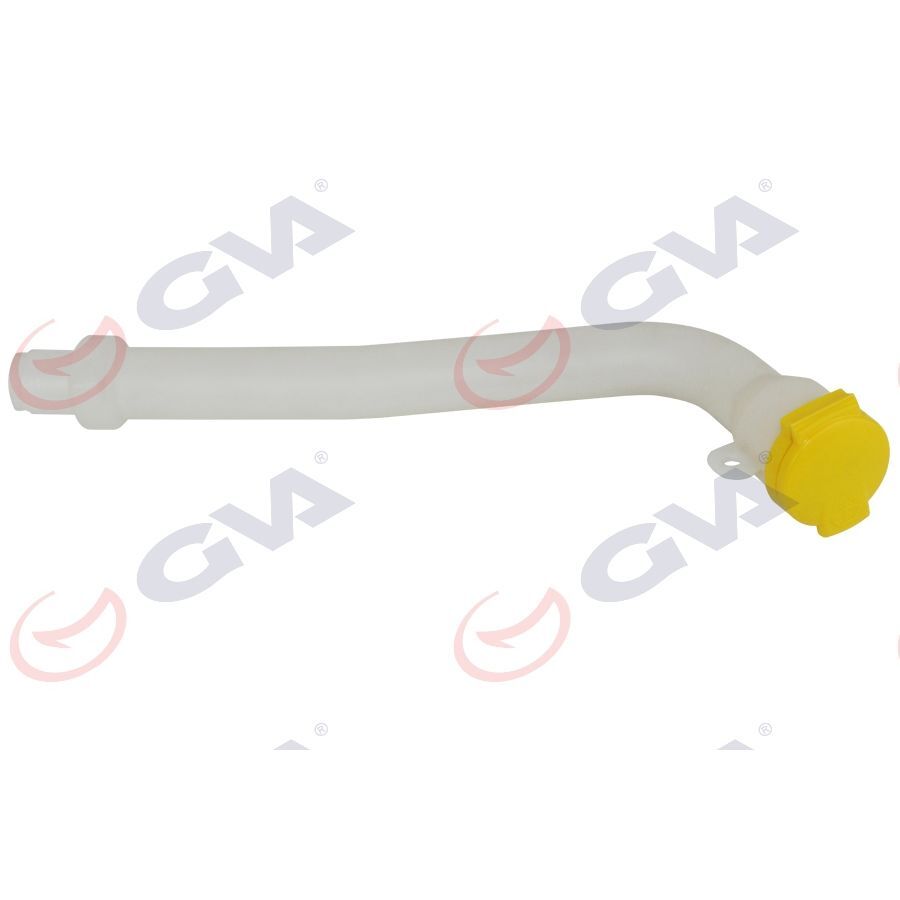 GVA CAM SU DEPOSU BORUSU KAPAK CLIO 5 (289159903R)