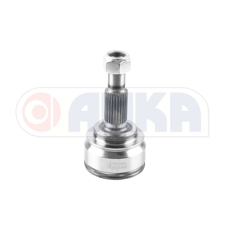 ANKA AKS KAFASI KNG 08 > Z 22 (8200687739)