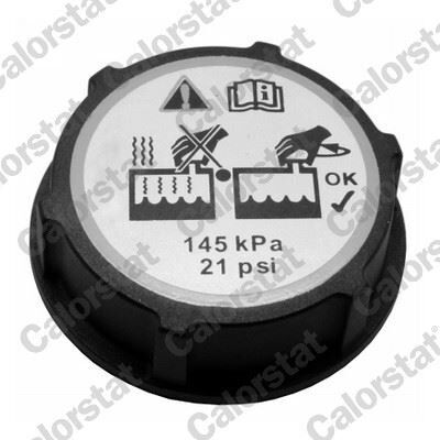 VERNET YEDEK SU DEPO KAPAGI FREELANDER 2 L359 R.R EVOQUE L538 L551 JAGUAR E-PACE X540 FORD B-MAX C-MAX FIESTA FOCUS GALAXY KUGA MONDEO VOLVO S40 S60 S80 S90 C70 C30 (DG938101AA)