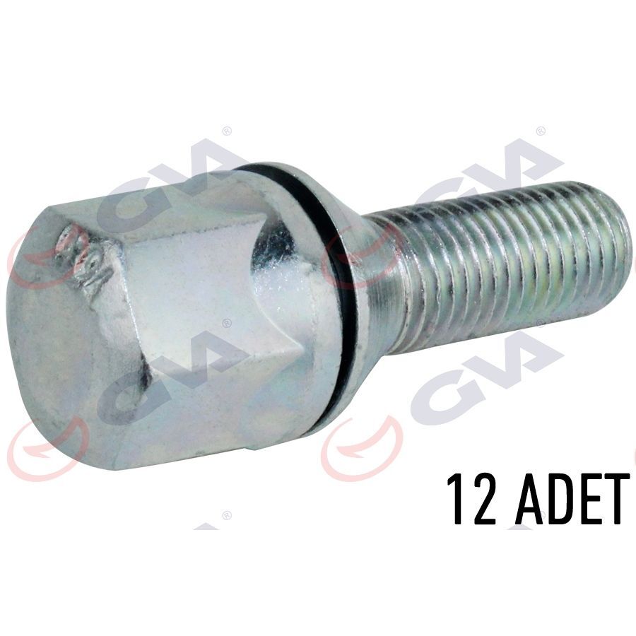 GVA BİJON CİVATASI RENAULT 9-11 PULLU-ÇİNKO-BEYAZ PAKET 12 (8200058101)