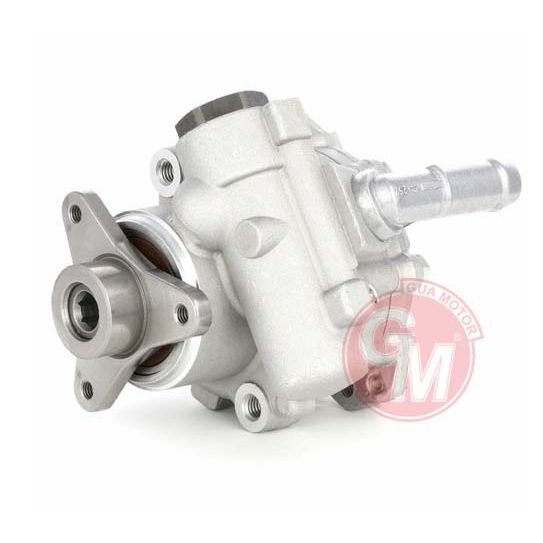 GUA DİREKSİYON POMPASI RENAULT MASTER II- 2.5 DCİ YM G9U (491100699R)