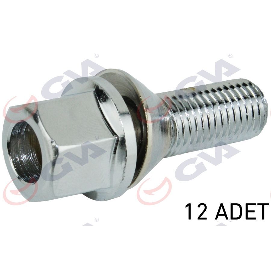 GVA BİJON CİVATASI RENAULT MEGANE-CLIO Y.M. PULLU PAKET 12 FEBİ 27756 (8200473353)