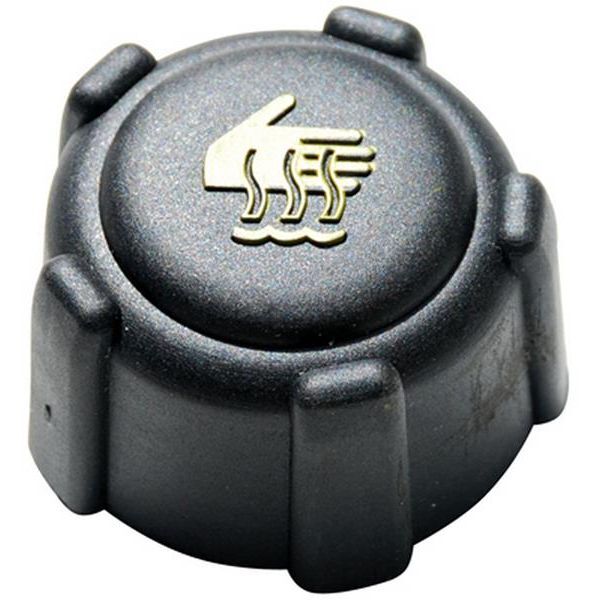 DEPAR GENLEŞME KAVANOZ CLIO MEGANE DACIA KAPAĞI (8200048024)