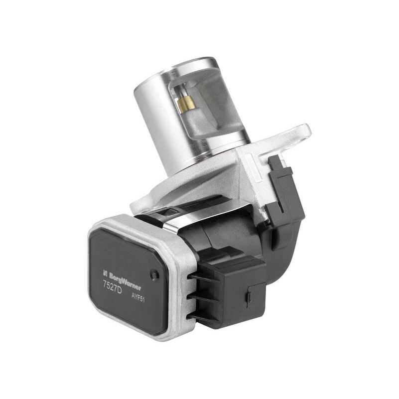 WAHLER EGR VALFI (A6421400860)