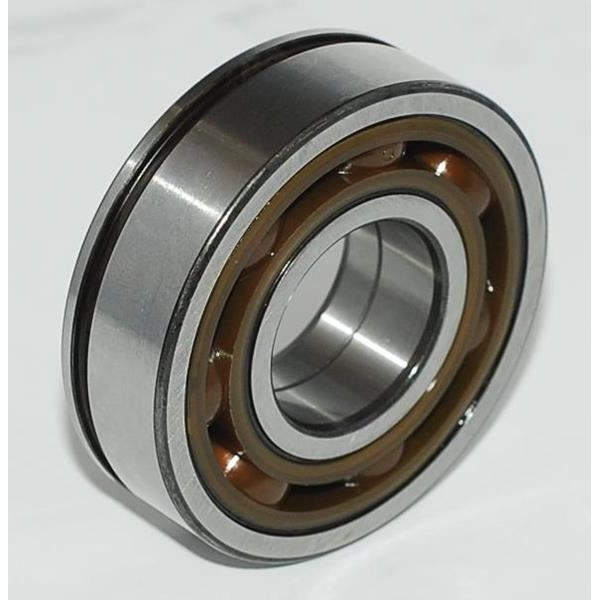 SNR ARKA ŞANZ. KAPAK RULMAN R9-R11-R19-CLIO-KNG AB40587S01 AB41386