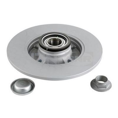 SNR ARKA FREN AYNASI PORYALI-RULMANLI CROSSLAND-C3-C3AIRCROSS-C4-P307-P208-P207-P2008 13 249X9X4DL DOLU-SAĞUTMASIZ-KAPLAMALI (3648487)