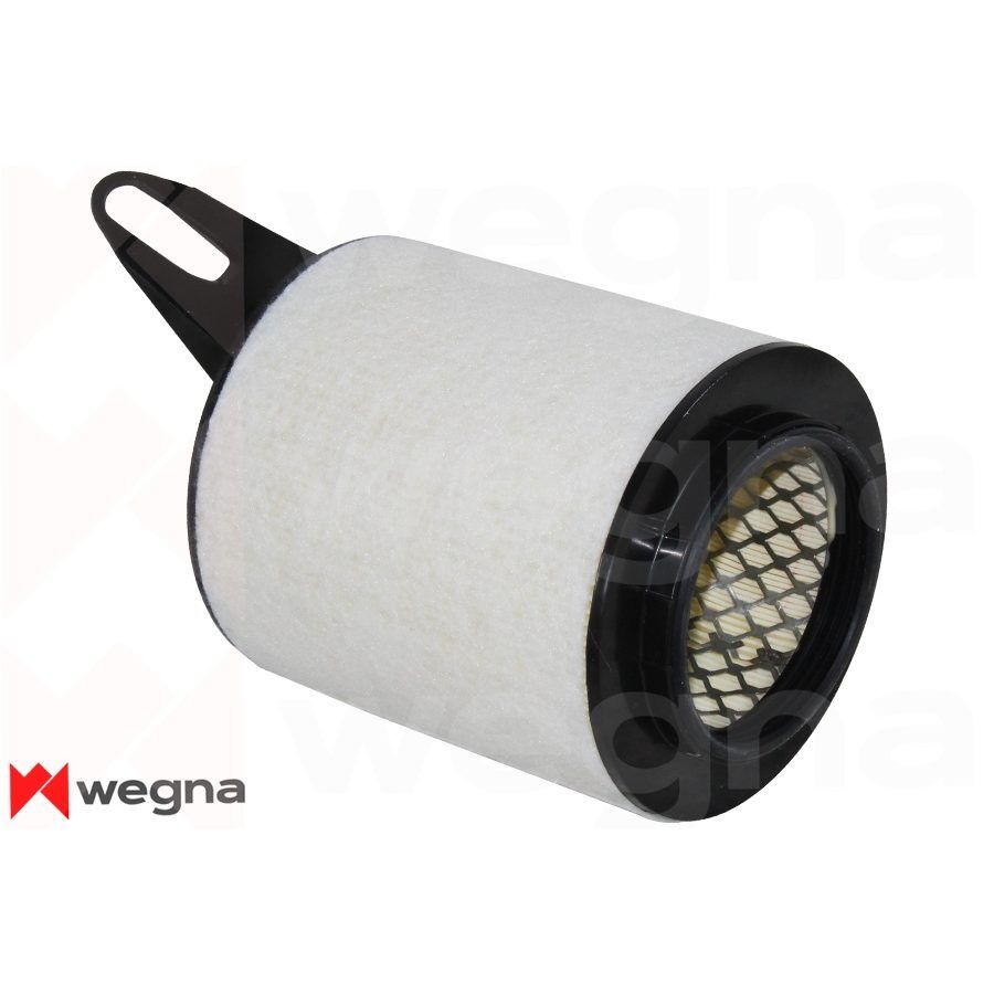 WEGNA HAVA FILTRESI BMW N43 N45 N46 E81 E82 E87 E88 E90 E91 E92 E93 E84 (13717532754)