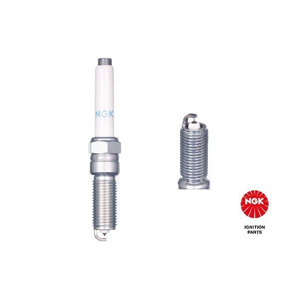 DAYCO TRİGER KAYIŞI 135X254 135 DİŞ C3 1.4 HDI 02/02 SUZUKI LIANA 1.4 DDSİ 04 5589XS (0816.F7)