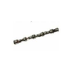 ESTAS EKSANTRİK MİLİ HYUNDAI H100-L300 2.5 (24100)