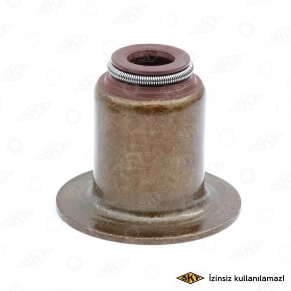 SKT SUBAP LASTIGI 6MM FIAT DUCATO 06> / IVECO DAILY 06> / PEUGEOT BOXER 06> CITROEN JUMPER 06> MITSUBISHI FUSO CANTER 12/ EURO5 4P10 2.3 JTD 3.0 JTD F1A F1C E5 E6 (500395378)