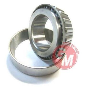 GUA ARKA TEKER RULMANI RENAULT 12 EM -30205A İÇ (6001541314)