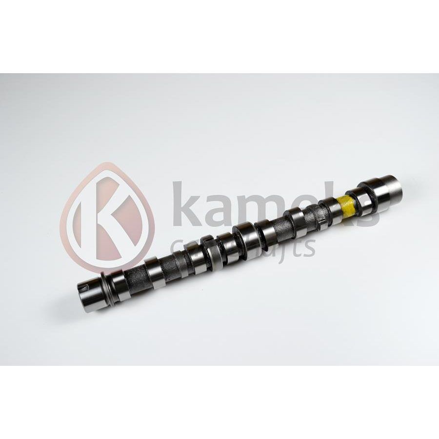 KAMEKS EKSANTRİK MİLİ EMME BIPPER 10> NEMO 10>DOBLO 10> EGEA 16> PUNTO 12> 500 L 12> 95BG 1.3 JTD EURO5 DÖKÜM (55206897)