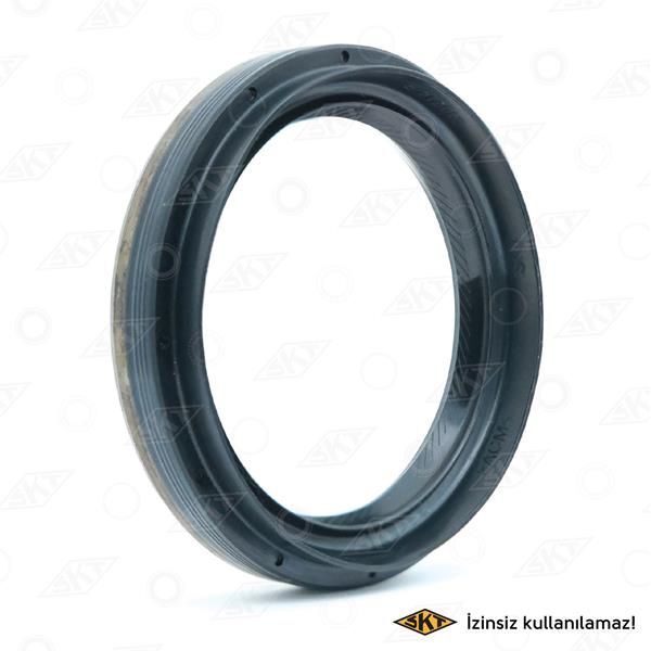 SKT DIFERANSIYEL YAG KECESI BMW E46 R60 E90 F10 F20 F30 F32 F33 F34 F36 F01 E83 E84 E53 F25 F26 E70 E71 F15 F16 . LAND ROVER RANGE ROVER L320 L322 L405 (7505602)