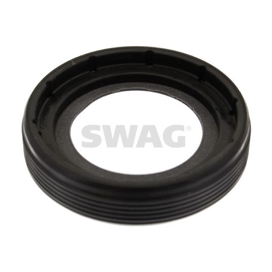 SWAG EKSANTİRİK KEÇESİ (03L103085)
