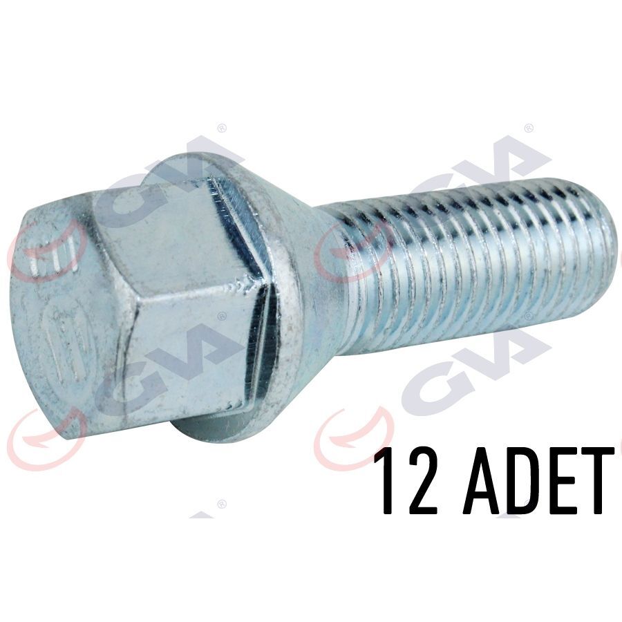 GVA BİJON CİVATASI RENAULT MEGANE-CLIO Y.M. PAKET 12 FEBİ 49873 (8200473355)