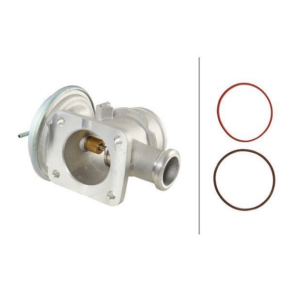 HELLA EGR VALFİ M47/M57/M67-E38/E39/E46/E53/E65 (11717804378)