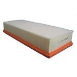 SARDES HAVA FİLTRELERİ RENAULT LATİTUDE 11-2.0 DCİ (165466728R)