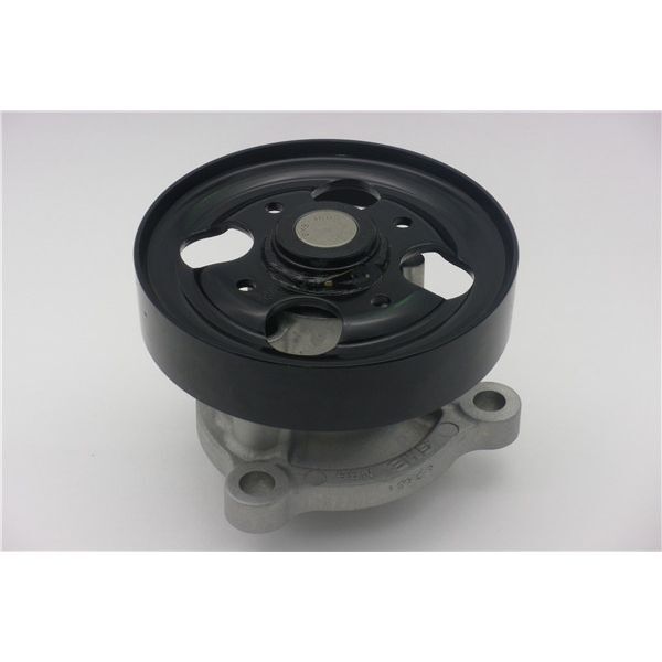 GMB DEVIRDAIM SU POMPASI NISSAN X-TRAIL 2.0L QR20 T30 01-> - PRIMERA 2.0L QR20 P12 03-> (210106N225)