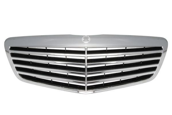 İthal Panjur W221 2010 12 Siyah (A221 880 04 83)