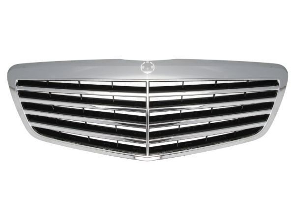 İthal Panjur W221 2010 12 Siyah (A221 880 04 83)