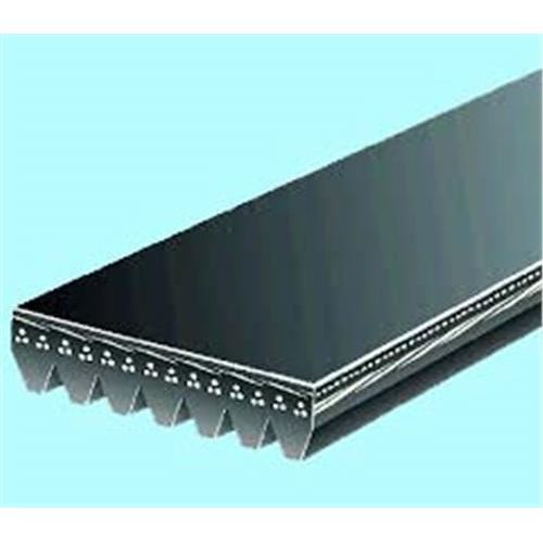 BANDO KANALLI KAYIŞ