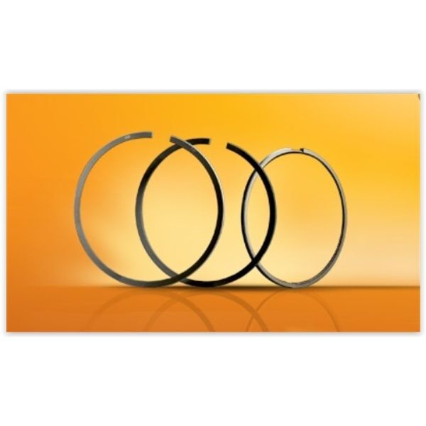 GOETZE SEGMAN M57N2 84.50 TEK PİSTON (11257798369)