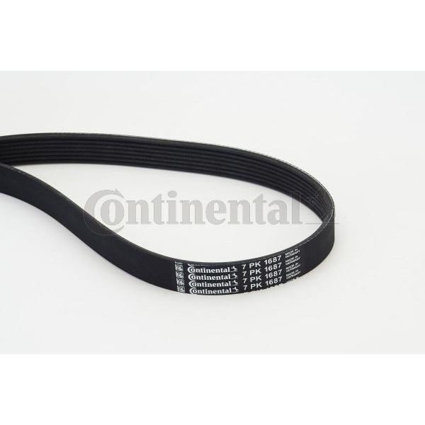 CONTITECH KANALLI KAYIS MERCEDES VITO OM622 W447 14> . RENAULT MASTER III 10> MEGANE IV 15> TRAFIC III 15> TALISMAN 15> X-TRAIL III 14> MOVANO B 10>QASHQAI II 13> 1.6 DCI R9M 2.3 DCI M9T (7PK1685)