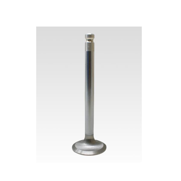 TETIK SUBAP EMME EGZOZ MONDEO 1.6İ-FIESTA 1.6İ-ESCORT 1.6İ 16V TEK TIRNAK IN-8/EX-8 (928M6507C1A)