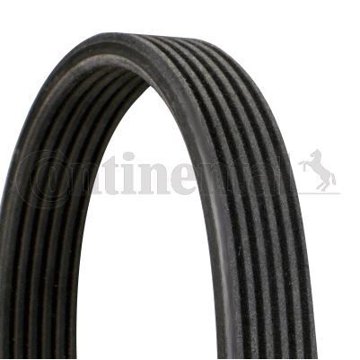 CONTITECH KANALLI KAYIŞ ÇİFT KANALLI PAS YM BORA GOLF IV-POLO 68381D (06A260849B)