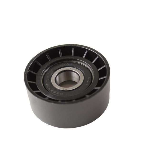 ORS ALTERNATÖR GERGİ RULMANI RENAULT CLIO II 98> KANGOO 97>LAGUNA I-II MASTER II 06>TRAFIC II 06> OPEL MOVANO 06> VIVARO 06> 1.4 1.6 1.9DCI (7700102931)