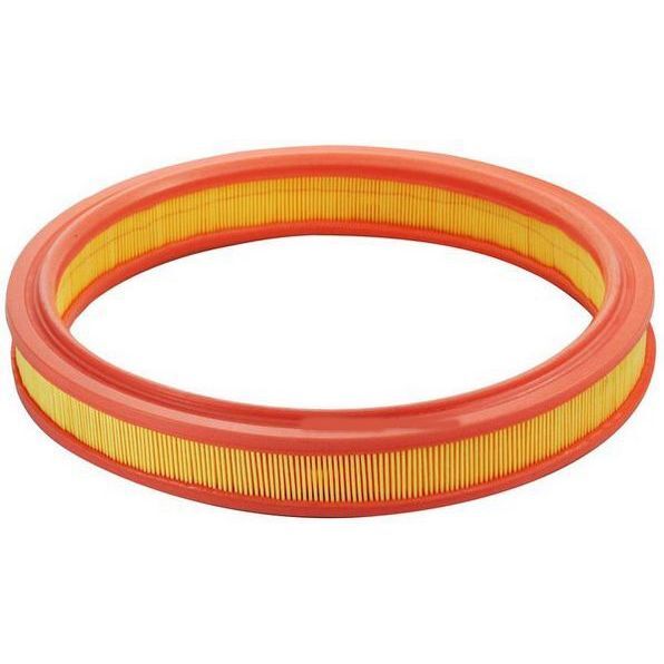 SARDES HAVA FİLTRESİ ESCORT 85-95 - FIESTA III 89-95 1.4-1.6 (6162294)