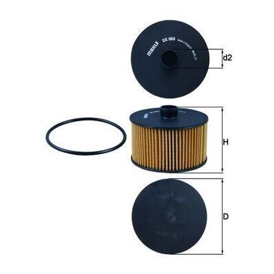 MAHLE YAG FILTRESI MERCEDES M282 W177 W247 C118 H247 X118 . RENAULT TALIANT 21>AUSTRAL 23>CLIO V 19> MEGANE IV TALISMAN 15>QASHQAI II 18>MICRA V 18>JUKE 14>19DUSTER 17> 0.9-1.0-1.2-1.3TCE H5H H4B H4D (1520900Q0F)