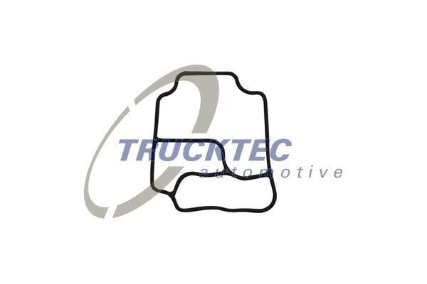 Trucktec Yağ Radyatör Contası M52 M54 (1142 1 719 855)