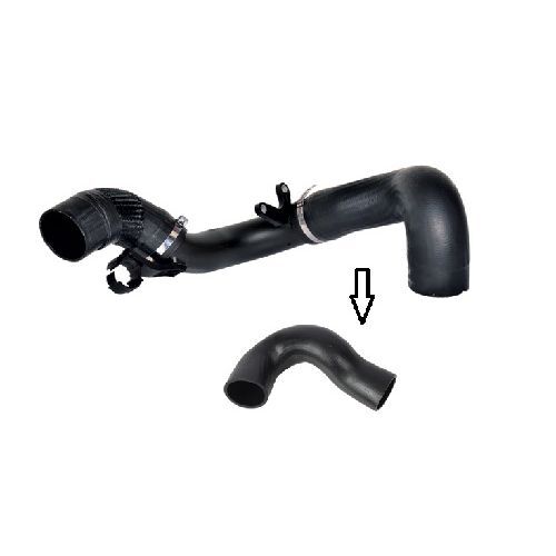 OTOZONE TURBO HORTUM BÜYÜK BOXER III-JUMPER III-DUCATO III 06> 2.2 JTD (1366747080)