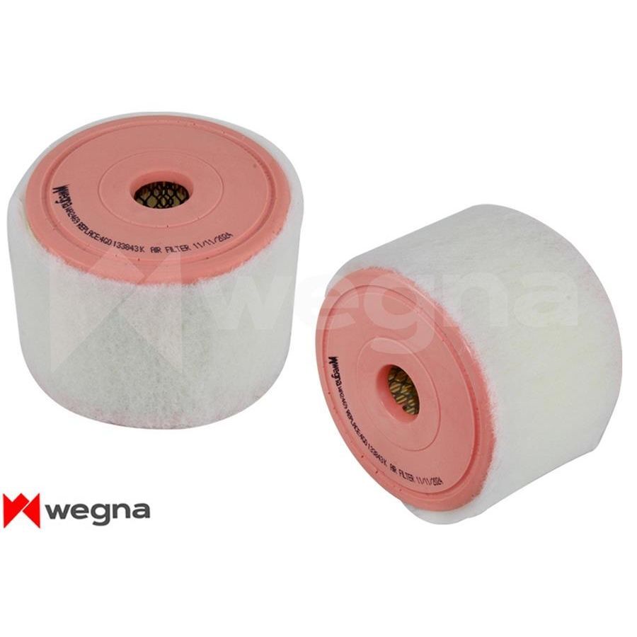 WEGNA HAVA FİLTRESİ A6 2.0 TFSI-TDI 11 > C 15010 (4G0133843H)