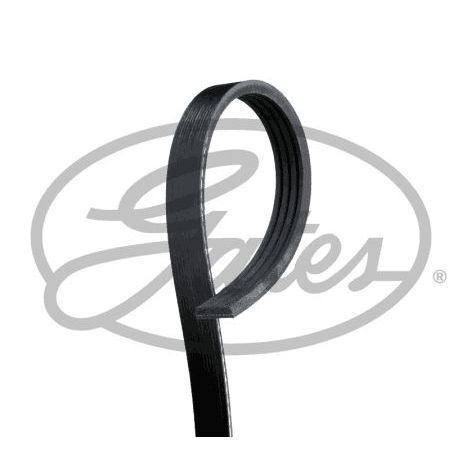 GATES KANALLI KAYIŞ TRANSIT T15 2.5D 8V 85-01 (6146319)