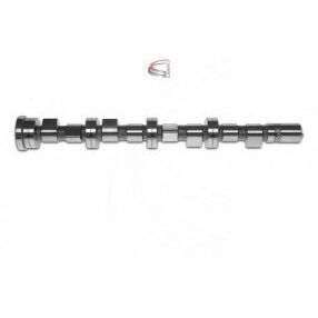 ESTAS EKSANTRİK MİLİ EMME DUCATO-MASTER 2.3 JTD (504096185)