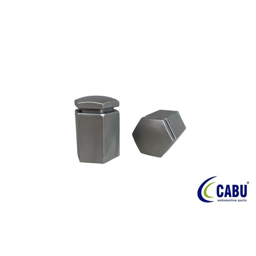 CABU BİJON KAPAĞI METALİK GRİ 17X32MM ASTRA F-G-H. CORSA B-C-D. VECTRA A-B.ZAFIRA B.OMEGA B (1008212)