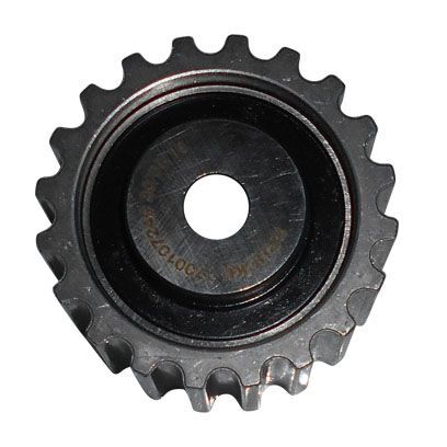 BRUCKE EKSANTRİK DİŞLİSİ CLIO II-KANGOO-MEGANE-MASTER II-TRAFIC-VIVARO 1.9DCI-DTI BÜYÜK AVARE DİŞLİSİ (7700107249)