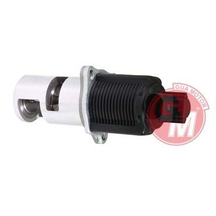 GUA EGR VALFİ RENAULT CLIO II-KANGOO-MEGAN II 1.5 DCI MASTER II LAGUNA II 2.2 00 K9K (8200004883)