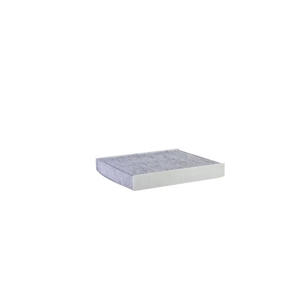 SARDES POLEN FILTRESI FORD MONDEO/S-MAX/GALAXY/EDGE/FOCUS 18> KARBONLU KARBONLU (DG9H18D483AA)