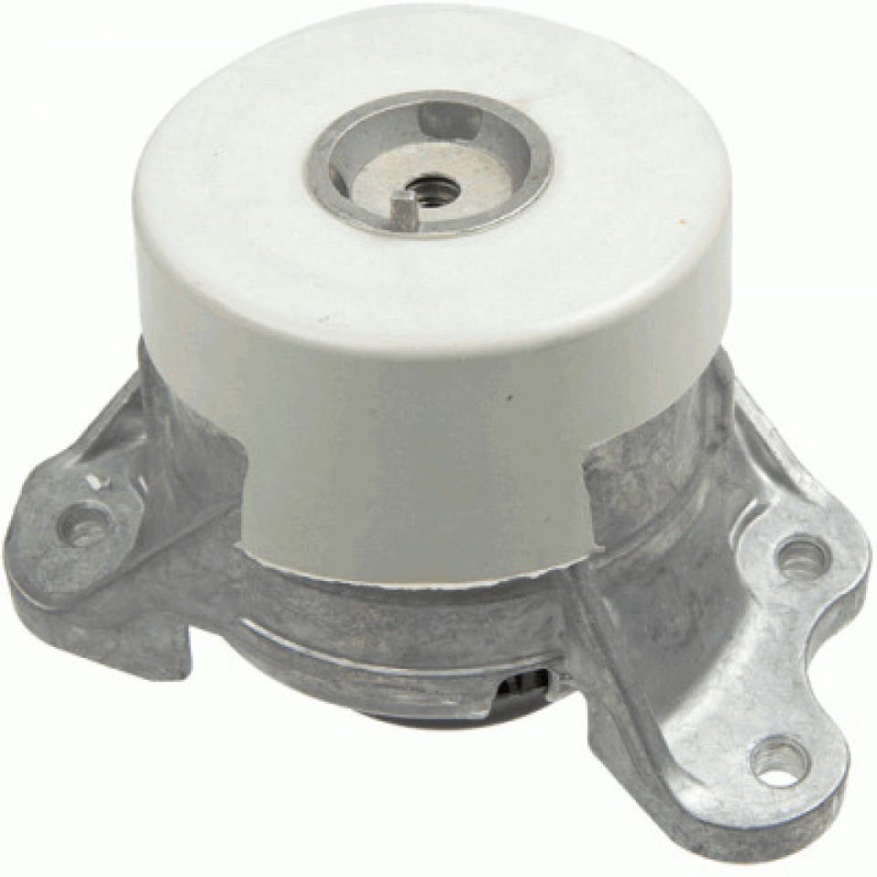 Lemförder Motor Takozu W253 M651 (A205 240 79 00)
