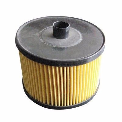 SARDES SF179F YAKIT FİLTRESİ P307-P308-P407-EXPERT-C4-C5-JUMPY-SCUDO-CMAX-FOCUS II-SMAX 2.0HDI DW10 (1318563)