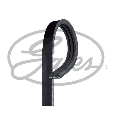 GATES KANALLI KAYIŞ CLIO-KANGOO 98> 1.4 E7J 8V 1.6 K7M 3PK 1040 (7700869687)