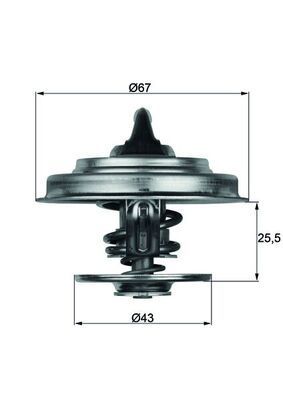 Behr Mahle Termostat Isı Ayarlacı Valf 79 C (208279)