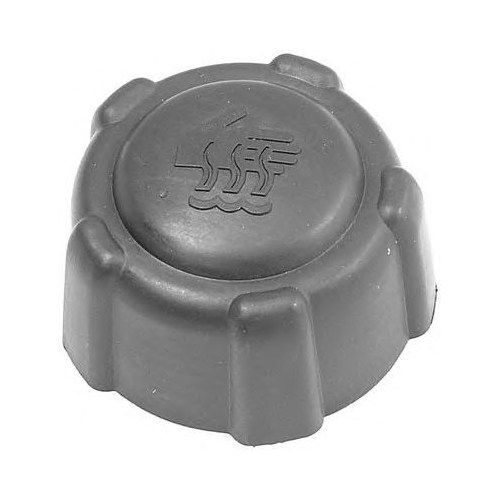 BIRLIK GENLEŞME KAVONOZ KAPAĞI SARI ALBEA-PALIO-DOBLO-SIENA 1.4 BAR (46521714)